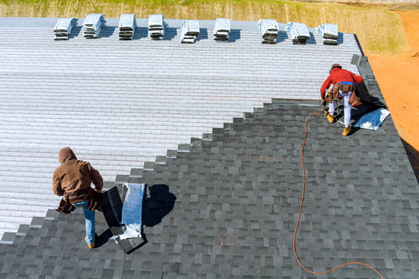 Best Roof Gutter Cleaning  in Holbrook, AZ